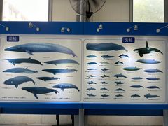 -上海海洋大学鱼文化博物馆(军工路校区)