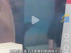 -锦艺城海洋馆
