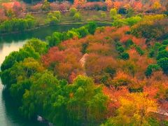 -南京银杏湖乐园