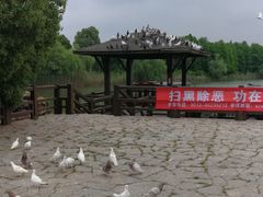 -苏州太湖国家湿地公园