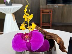 -大连君悦酒店·星海湾壹号Dalian·Dalian(星海广场店)