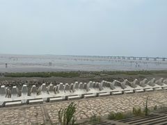 -南汇新城海滩