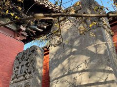 -洛阳白马寺