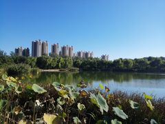 -燕郊植物园