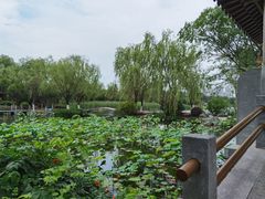 -长江文明馆