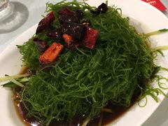 爽拌龙须菜-添福来墨鱼饺子 · 海鲜东北菜(泡崖店)