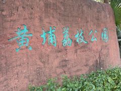 -黄埔荔枝公园