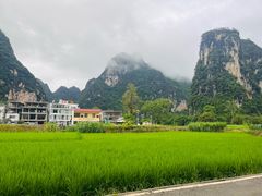-明仕田园