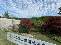 -嘉定紫藤园