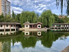 -团结湖公园