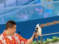 -三亚海昌梦幻海洋不夜城