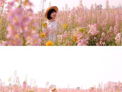 -中国天府农业博览园