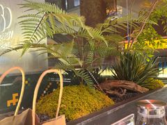 -芸山季·云南山珍菌火锅(人民广场来福士店)