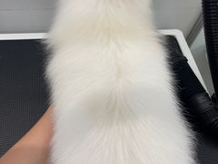 -comecome来吧宠物(奥克斯中心店)