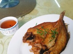东海黄花鱼（香煎）-海鲜街菜馆(海珠南路店)