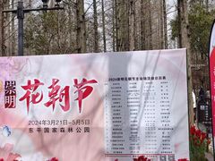 -东平国家森林公园