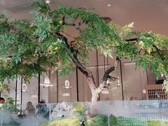 -绿茶餐厅(二七万达店)