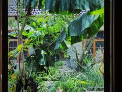 -Jo's Garden