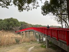 -美兰湖景区