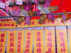 -越秀西湖花市(广州城市广场花卉店)