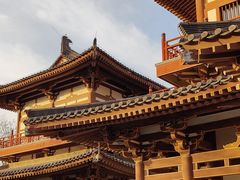 -西安青龙寺遗址景区