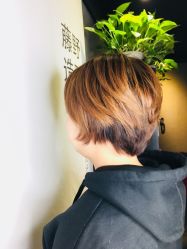 点击看大图 -藤野造型