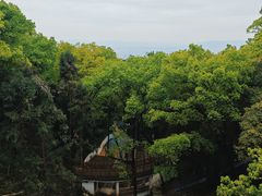 -南山植物园