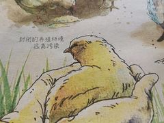 -麦当劳(展览路店)