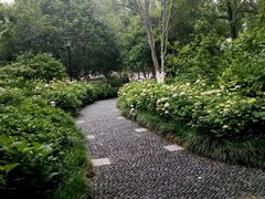 -常州古运河南大街文化旅游区-人民公园