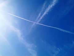 -西湖外事游船(花港观鱼码头)