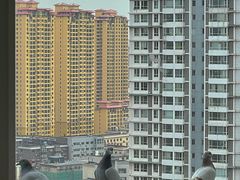 -大悦城(沈阳中街店)