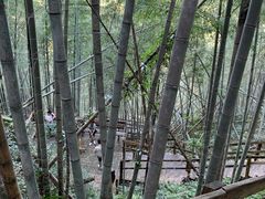 -宁波浙东大竹海景区