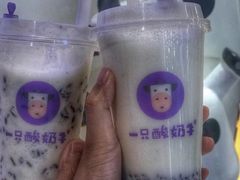 -一只酸奶牛(八一路店)