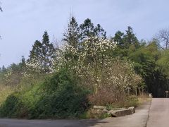 -重庆雨台山风景区