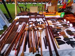 -铁山坪森林公园