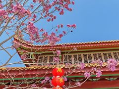 -仙岳公园