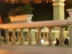 -龙环葡韵住宅式博物馆