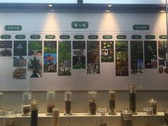 -广东中医药博物馆