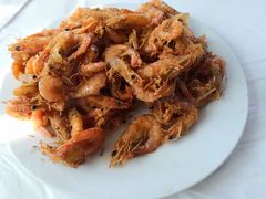 炸河虾-何适山庄 ·可团建(水长城P2停车场店)