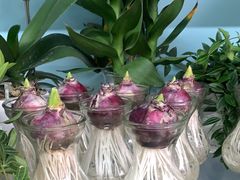 -花心思鲜花店(武昌徐东店)