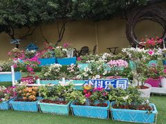 -盈香心动乐园
