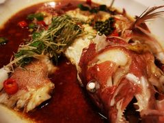 清蒸老虎斑-伯衡55·吉品轩(乌鲁木齐南路店)