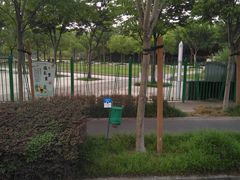 -新江湾城公园