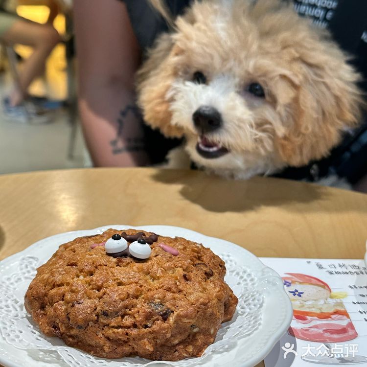 上海新开的漂亮小甜品！是宠物友好店