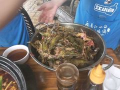 -金海椒罐罐鲢鱼(东方桂苑店)