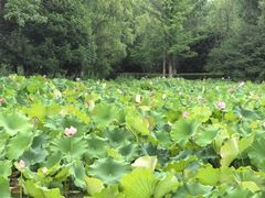 -时间仓(月湖公园店)