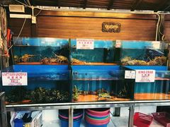 -真浪花园海鲜餐馆