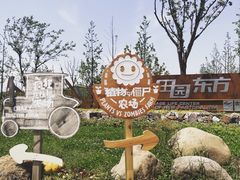 -田园东方蜜桃村的田野营地