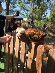 -萌宠亲子动物乐园(槐房万达店)