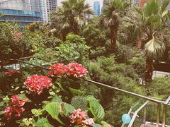 -三利音·浦之舟(滨江大道店)